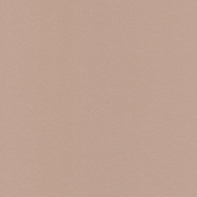 Grandeco | Asperia | JF1213 | Vliestapete | Einfarbig | 10.05 x 0.53 m | Braun