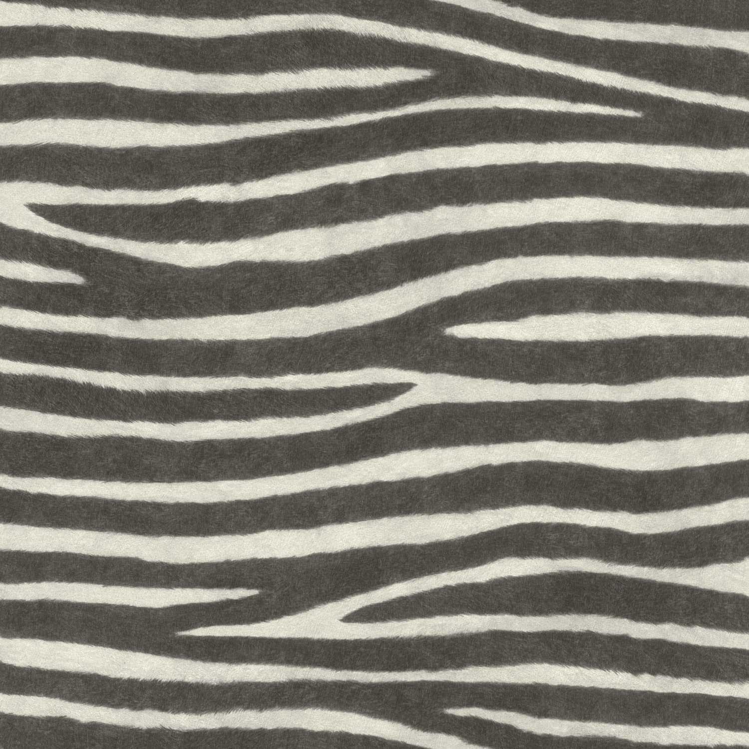Rasch | African Queen III | 751727 | Vliestapete | Tiermuster | 0.53 x 10.05 m | Schwarz | Weiß