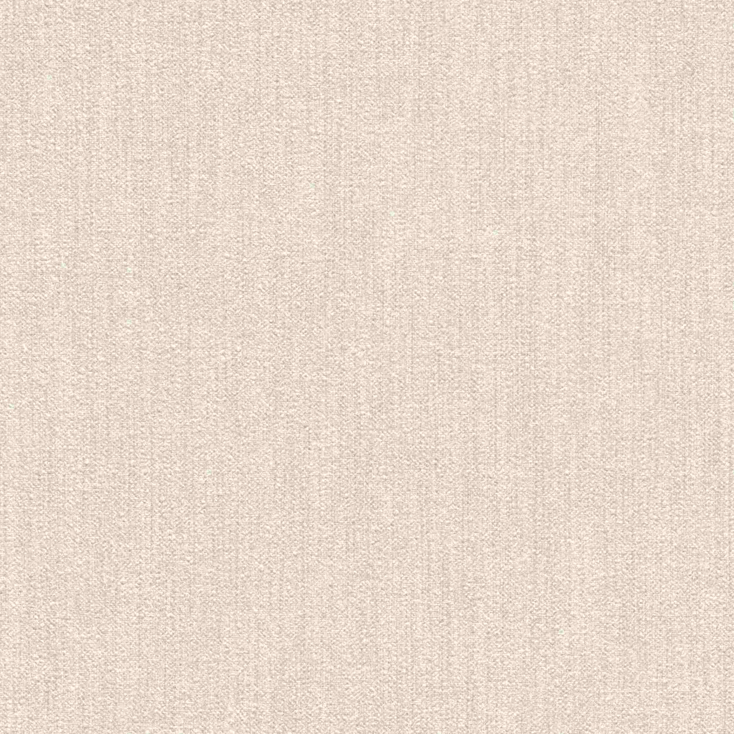 Rasch Papiertapete Selection 200676 | 0.53 x 10.05 m | Uni Einfarbig Beige