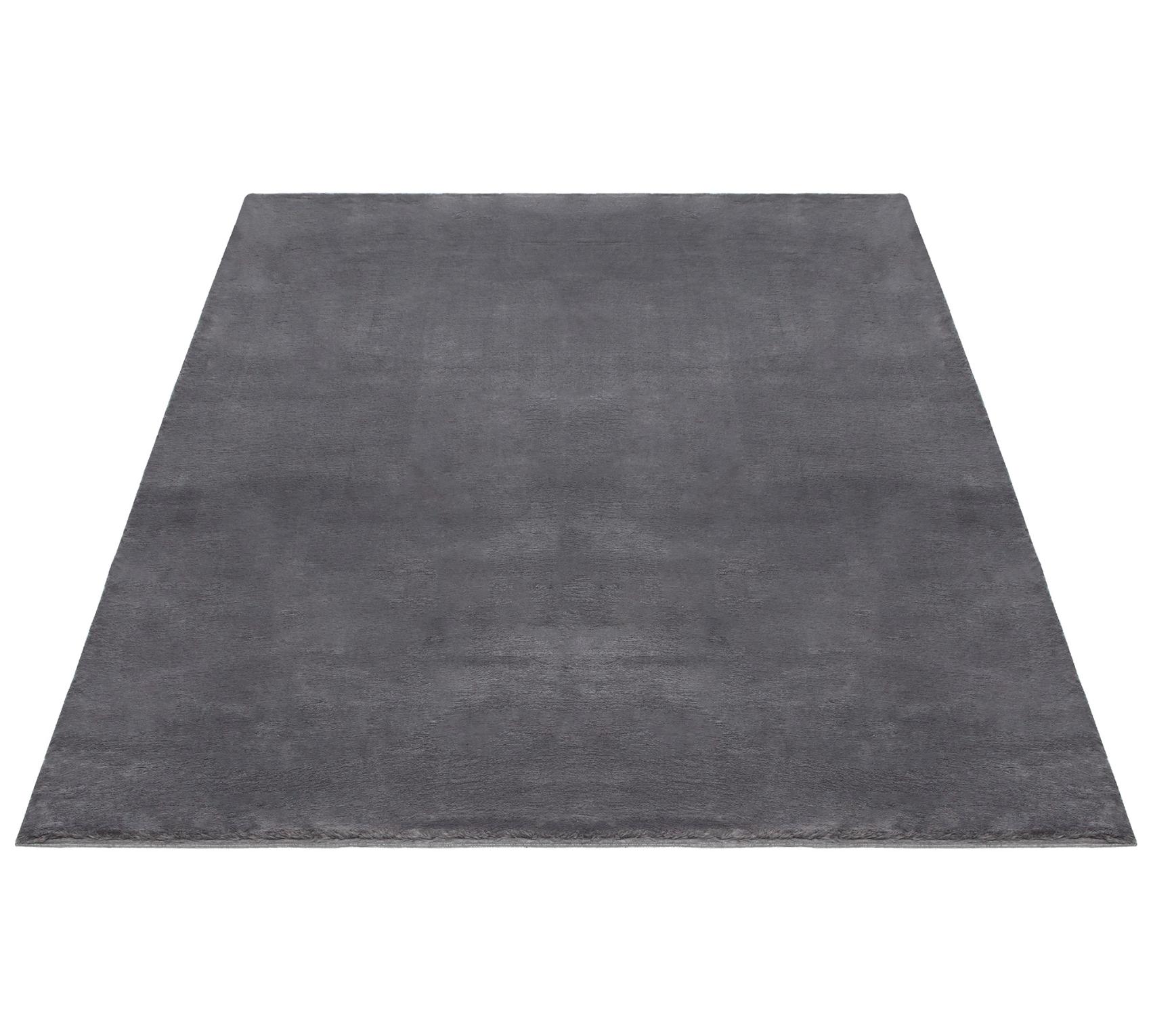 Indoor Teppich Anthrazit versch. Größen - rechteckig für alle Innenräume - FLOORNOVO