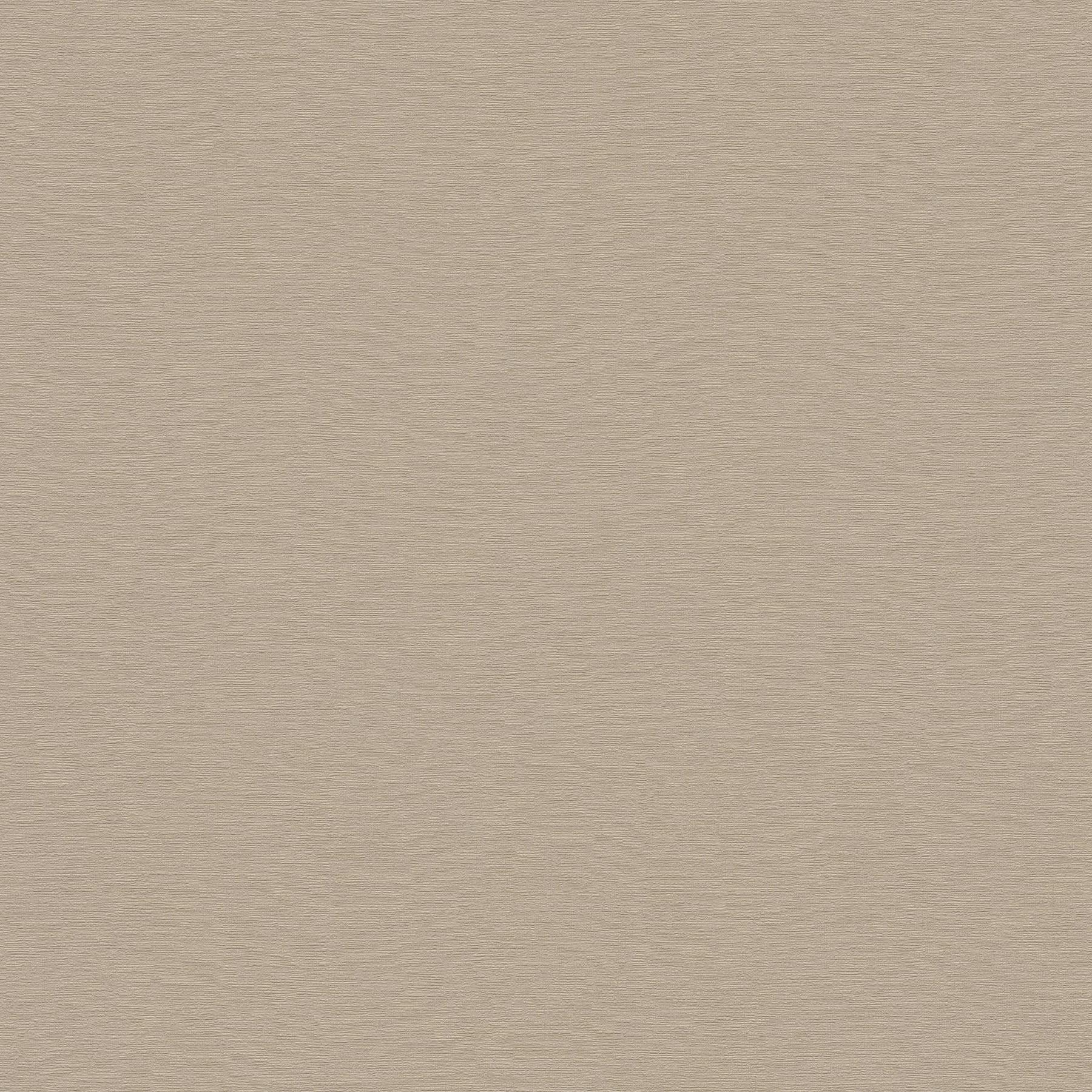 Vliestapete 395788 Braun Grau Uni Einfarbig French Affair  A.S. Creation