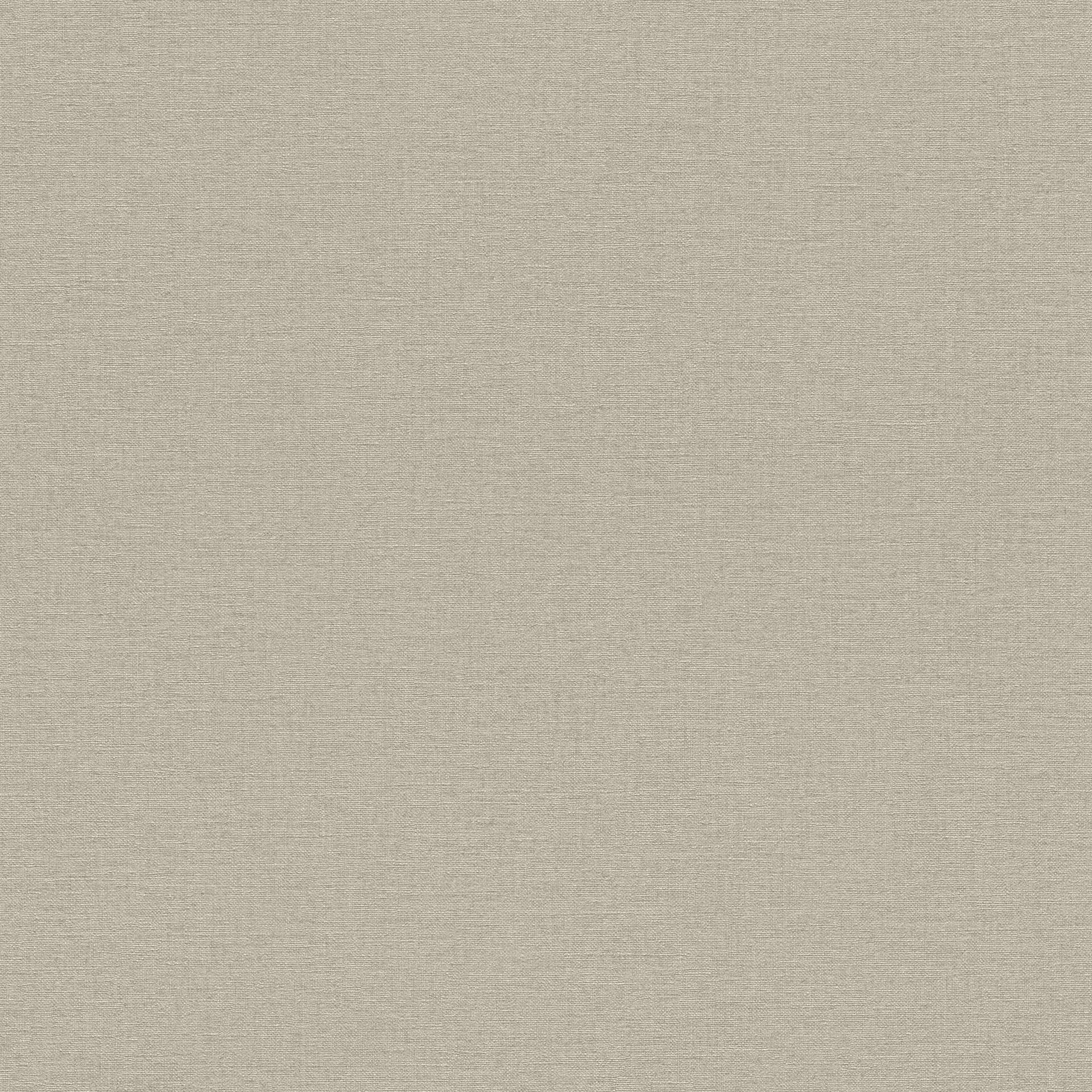 Vliestapete 452020 Braun Uni Einfarbig Country Charme Rasch